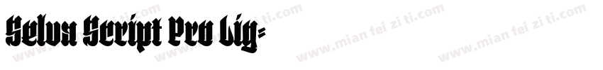 Selva Script Pro Lig字体转换